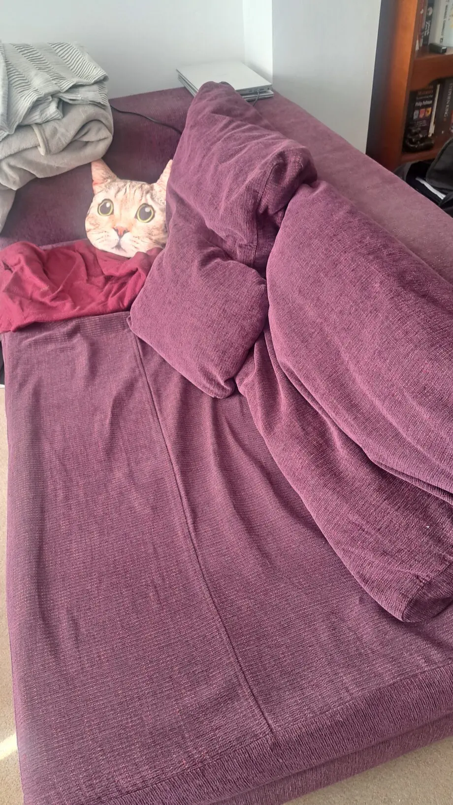 DFS sofa set (purple)