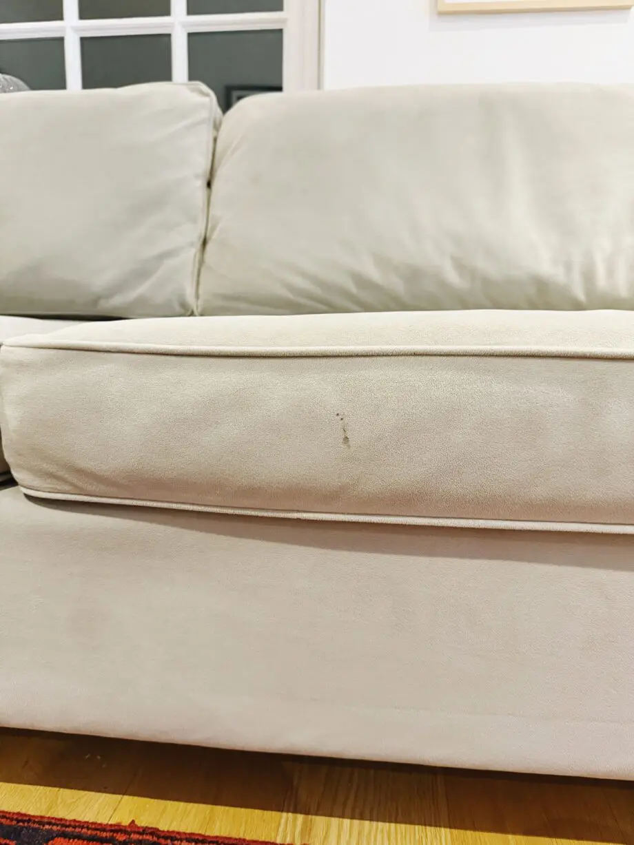 West Elm Paidge Sofa Bed