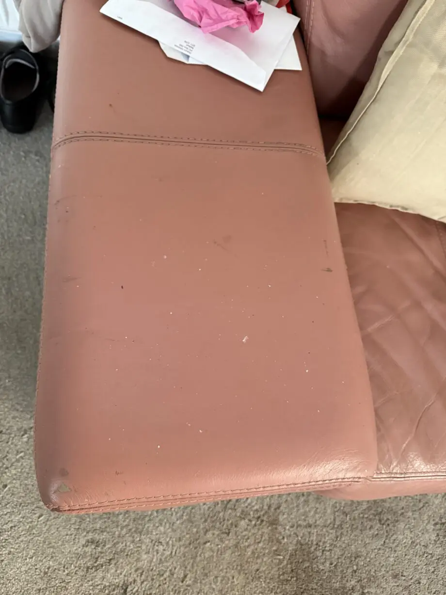 DFS DUSKY PINK PURE LEATHER