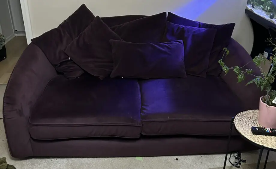 DFS PLUMB COLOURED 2 seater