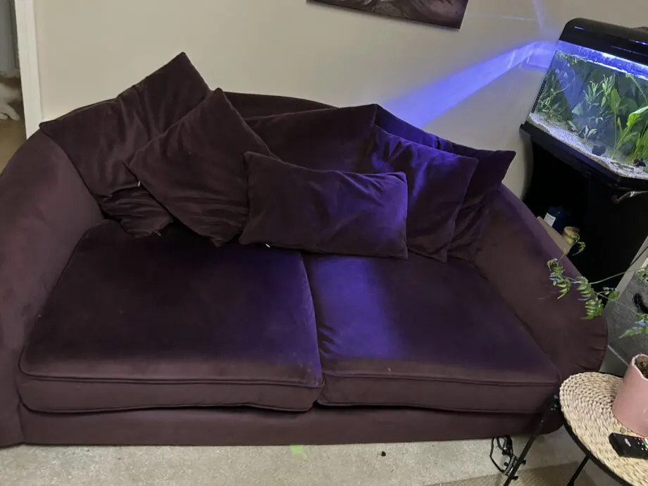 DFS PLUMB COLOURED 2 seater