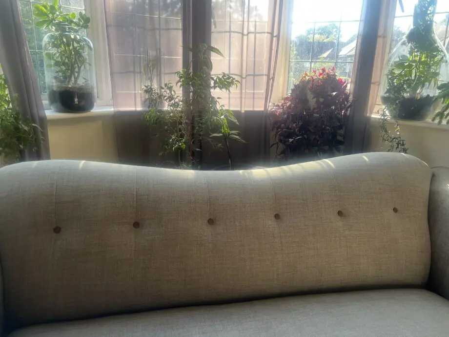 DFS greyish with brown trimming. With dark wood feet.