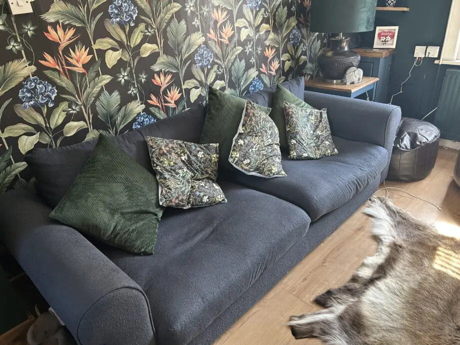 DFS Hugo 4 seater and chair