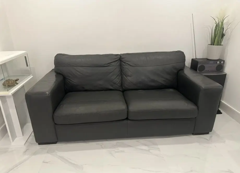Sofa bed and arm chair DFS
