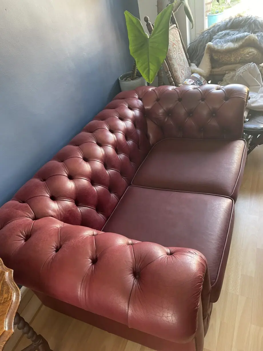 Saxons chesterfield leather maroon sofas