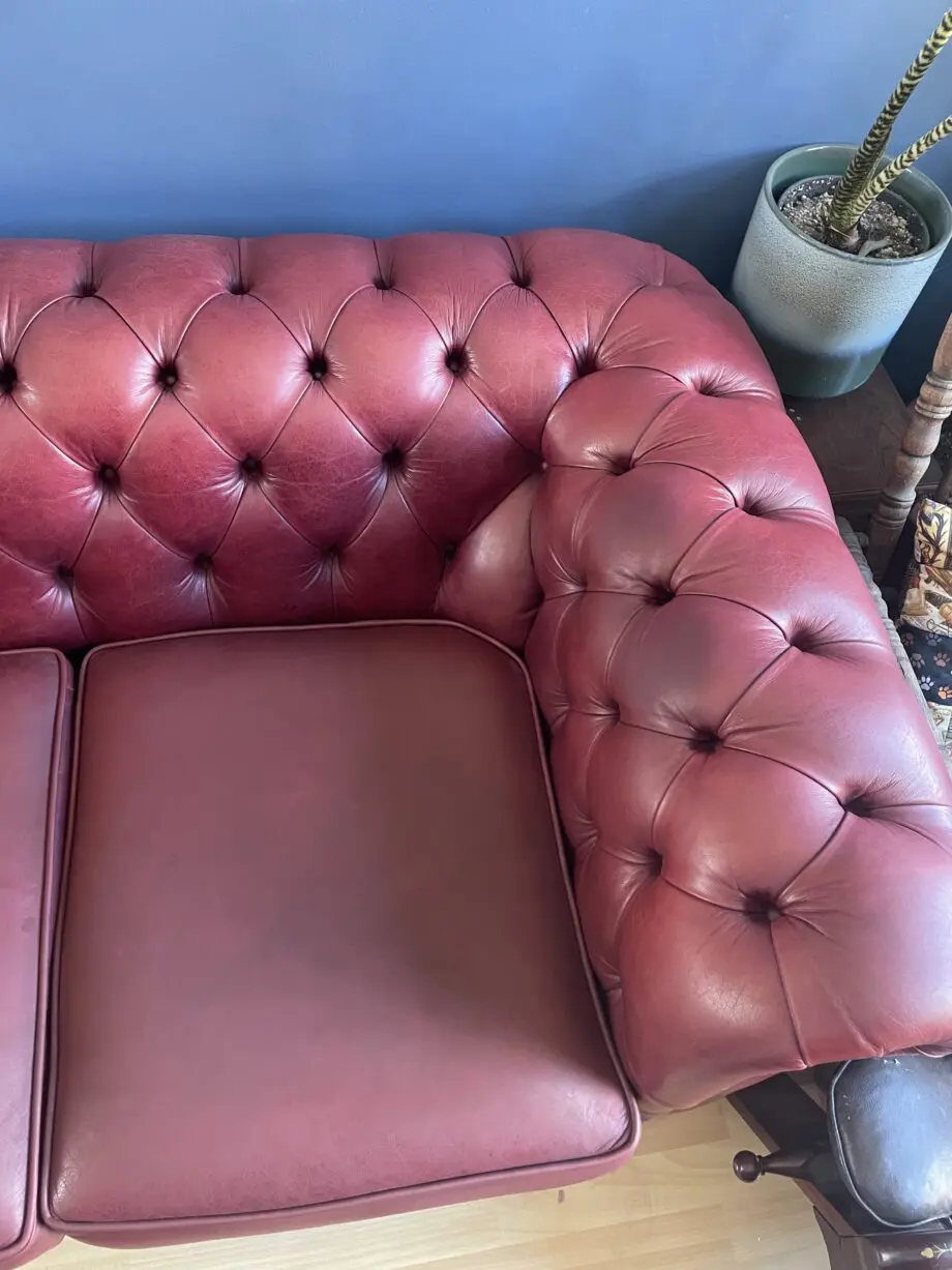 Saxons chesterfield leather maroon sofas