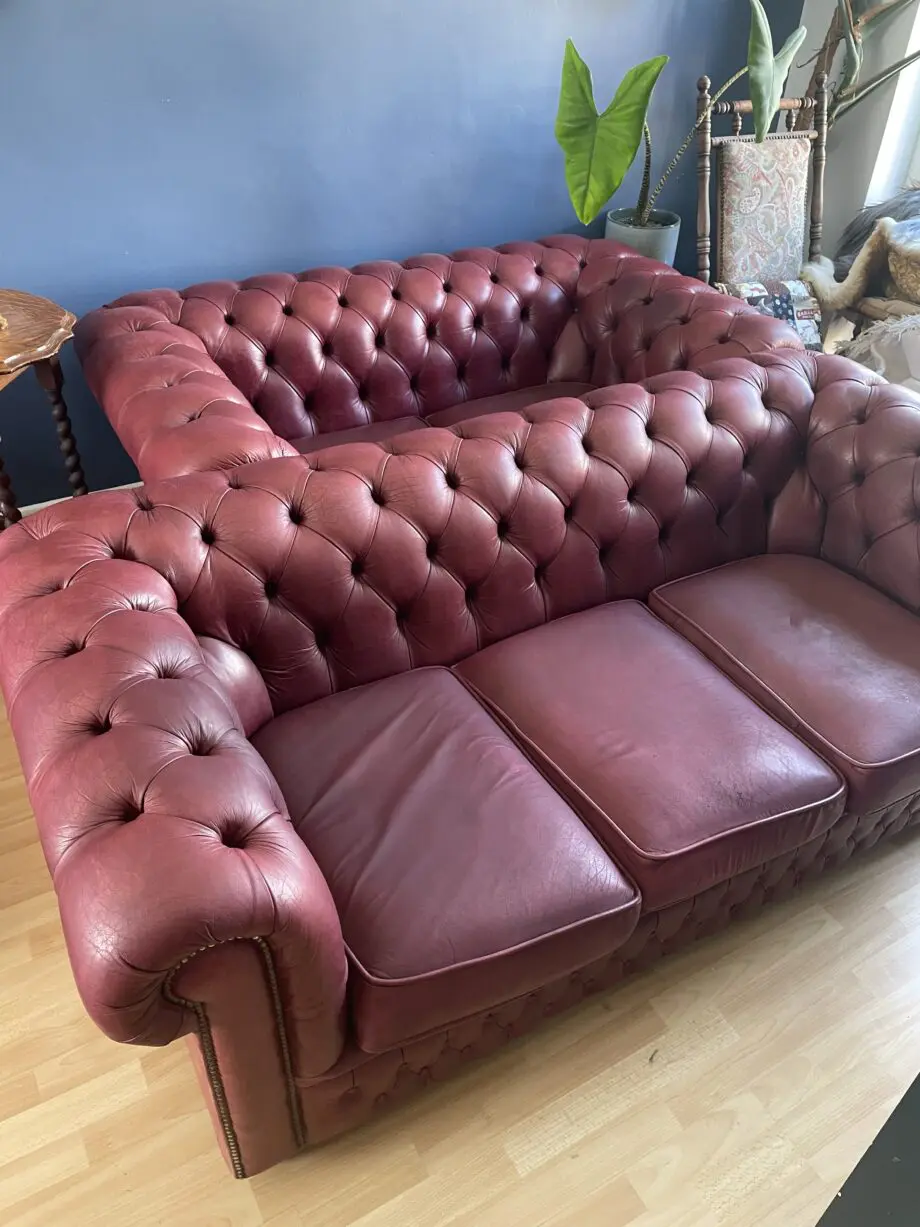Saxons chesterfield leather maroon sofas