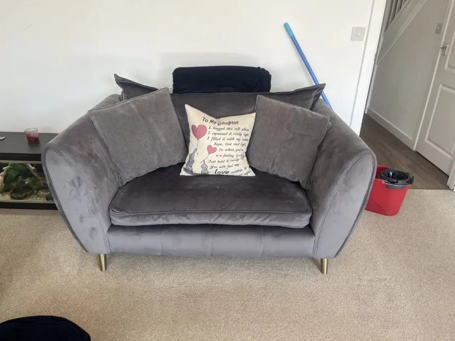 Grey sofology sofa