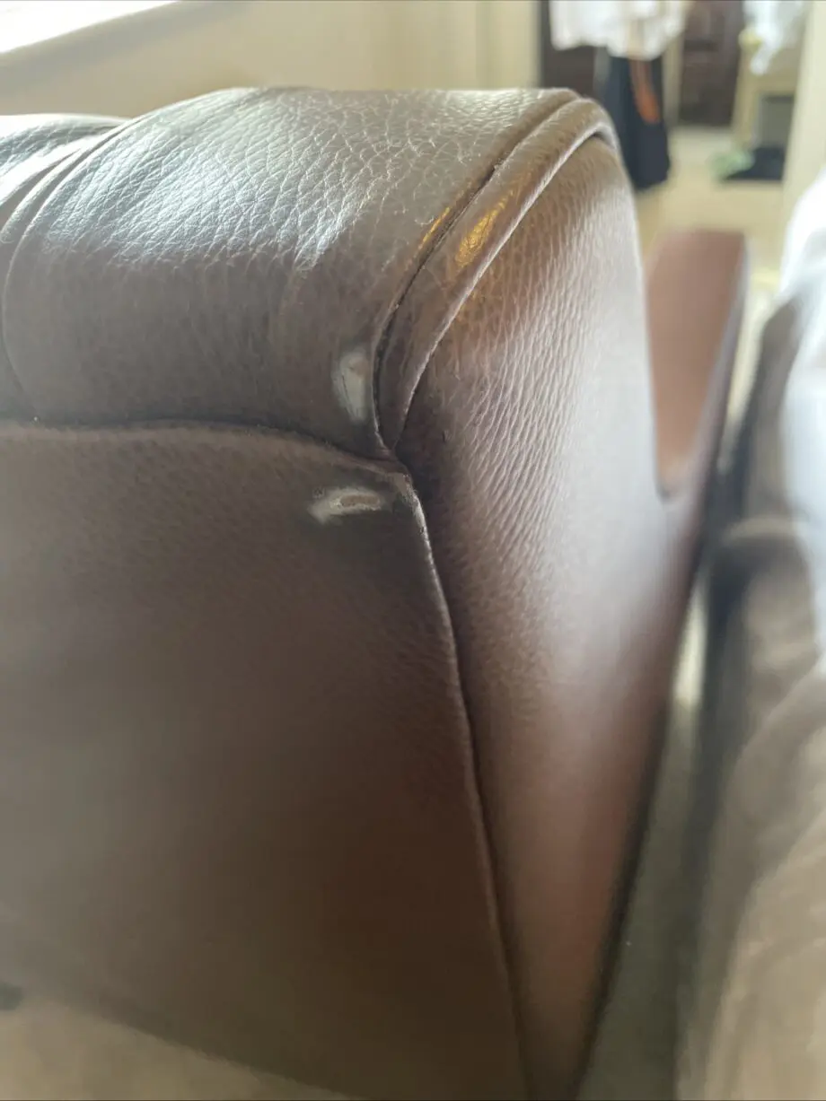 Multiyork grained leather arm chair, brown, dark legs