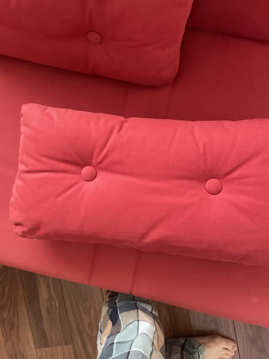 Red 2 seater bed sofa