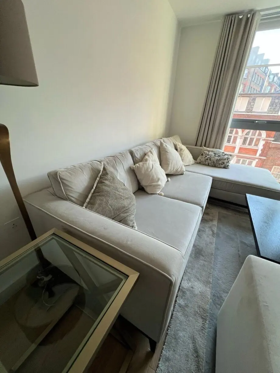 Camerich L Shape Sofa And Armchair