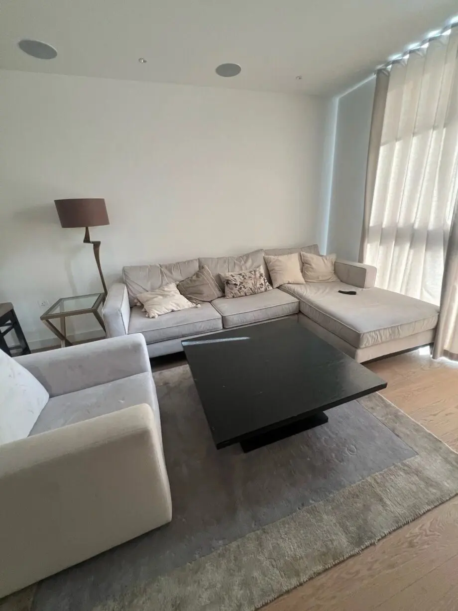 Camerich L Shape Sofa And Armchair