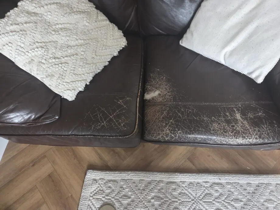 Next Ashford leather 2 and 3 seater