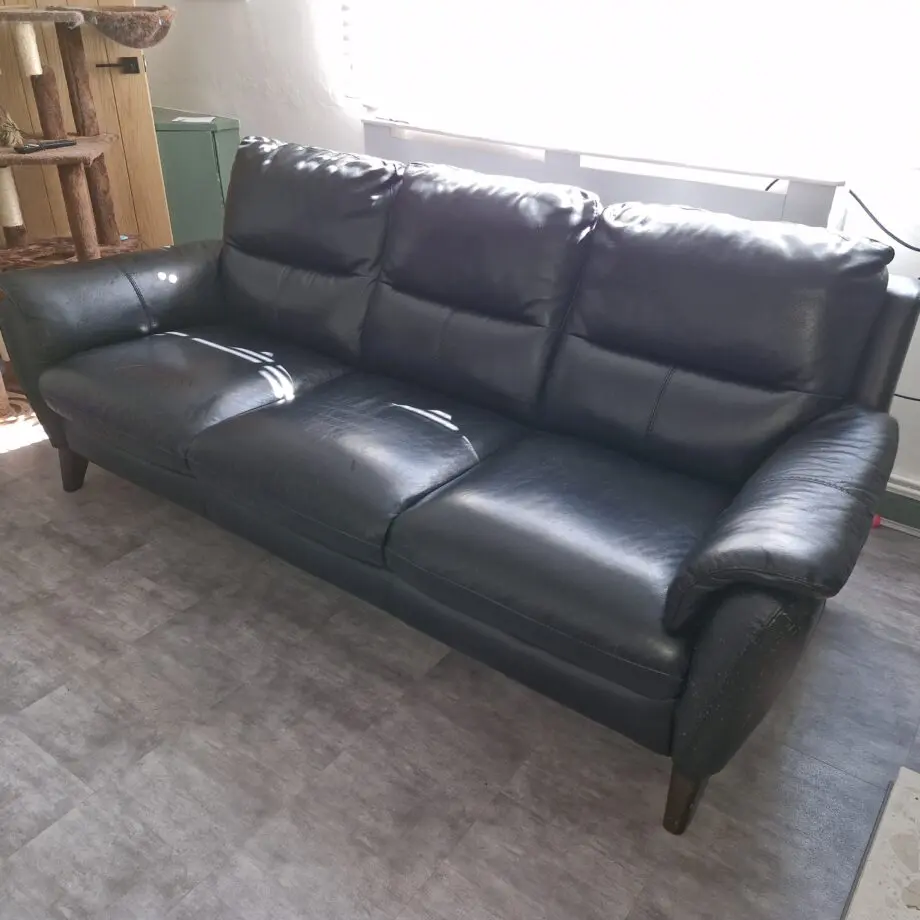 Sofa ology