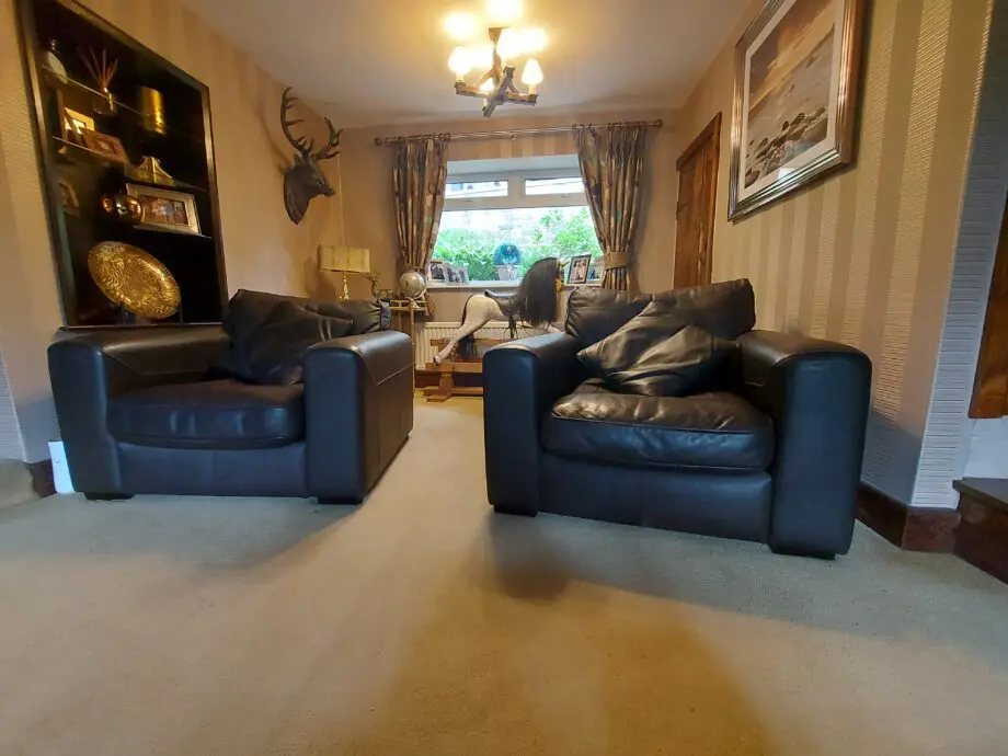 DFS brown leather armchairs.