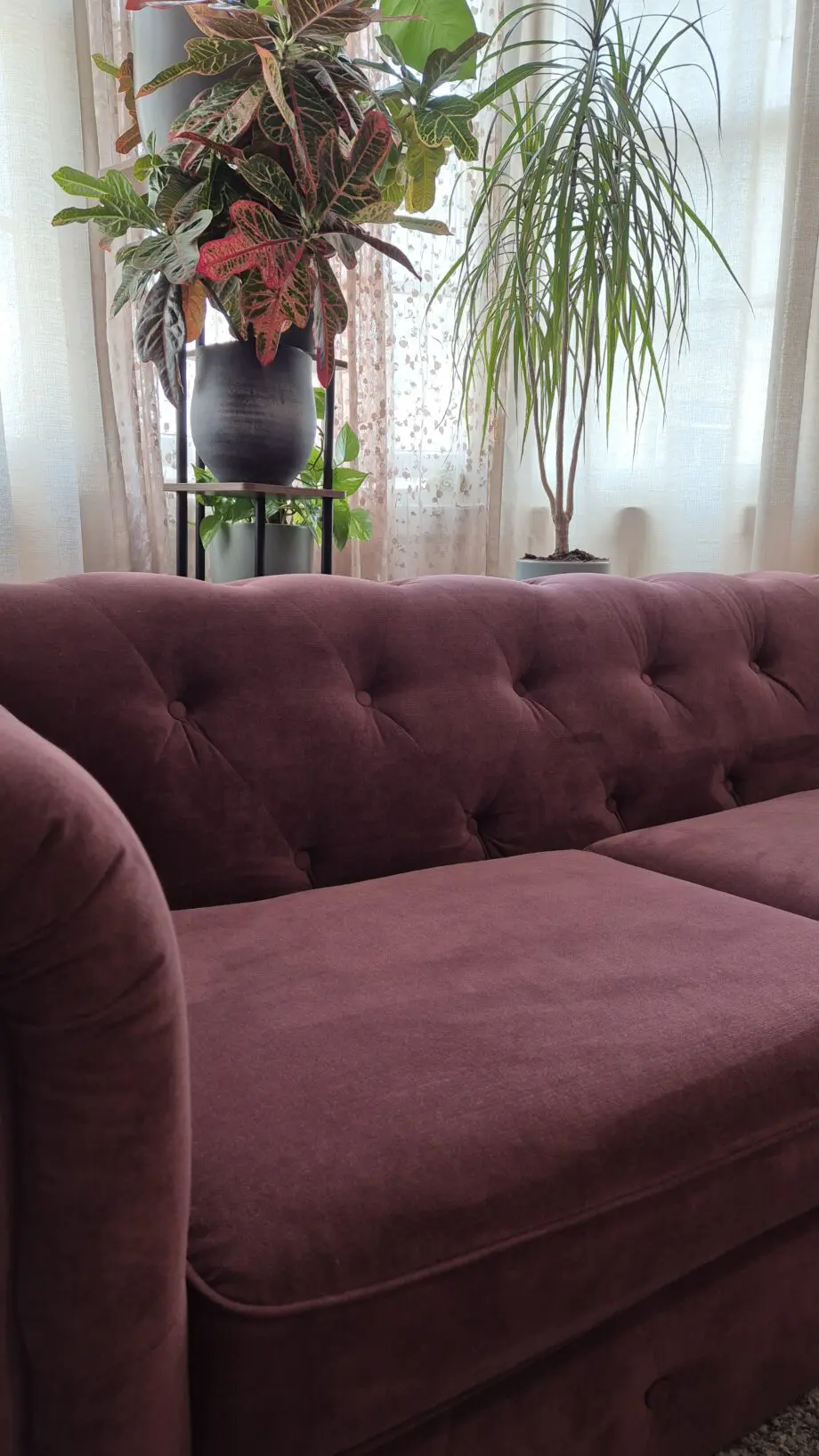 DFS Wine Chesterfield sofa