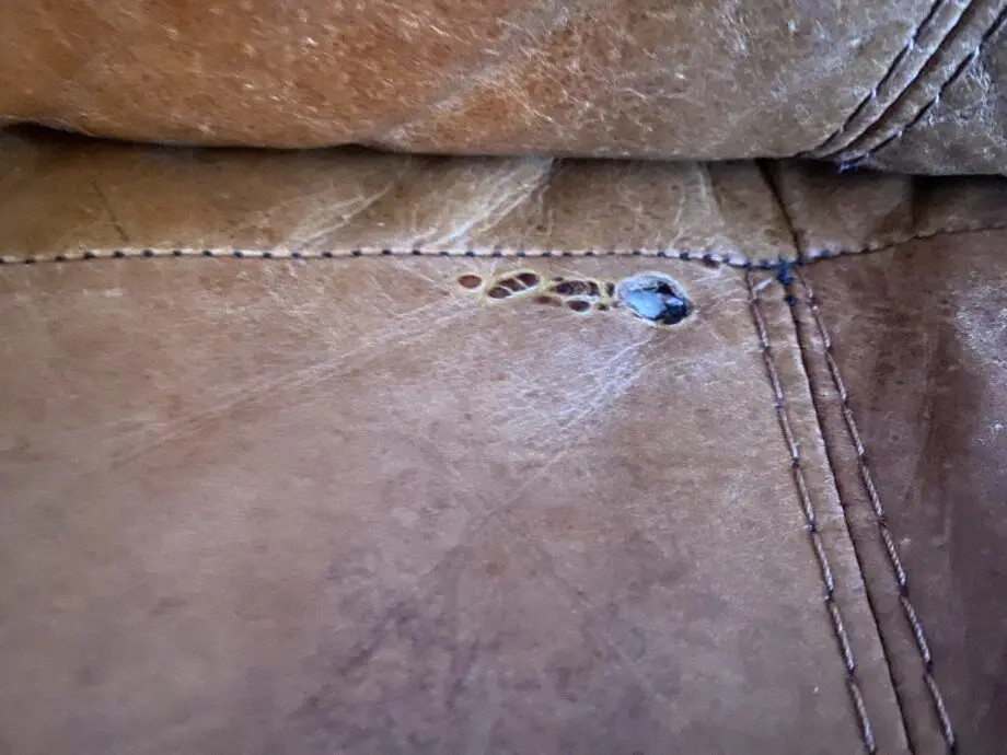 DFS natural brown leather sofa