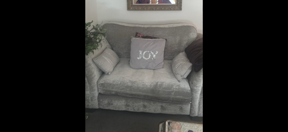 Velvet silver love seat
