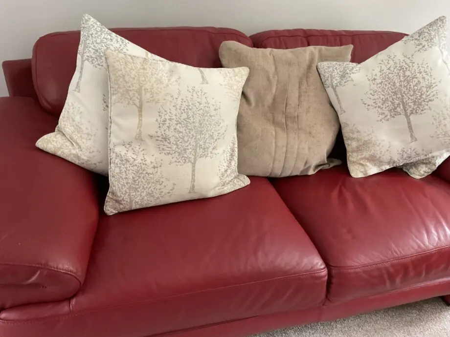 3:DFS Red Leather Sofas