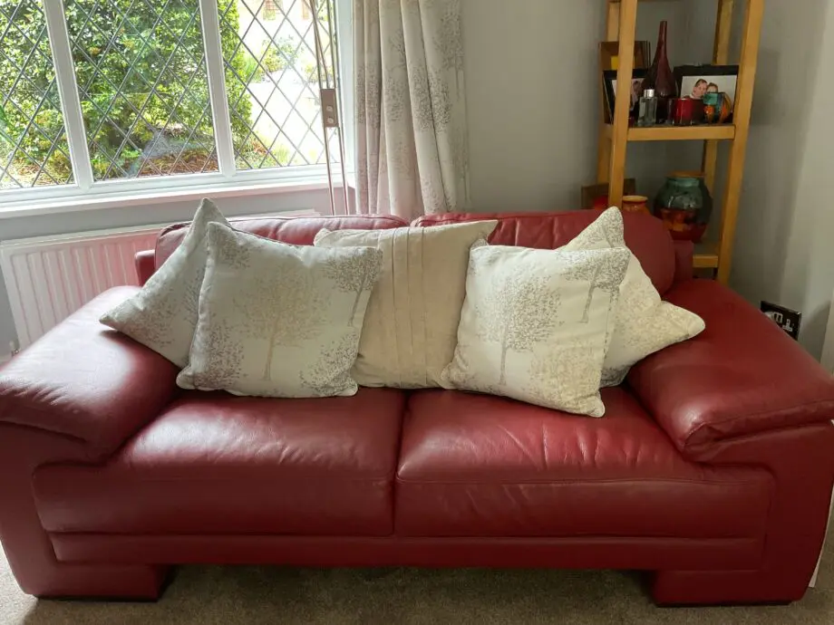 3:DFS Red Leather Sofas