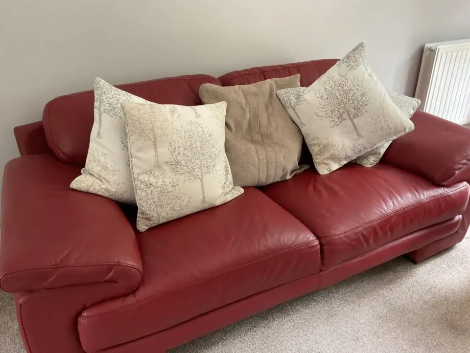 3:DFS Red Leather Sofas