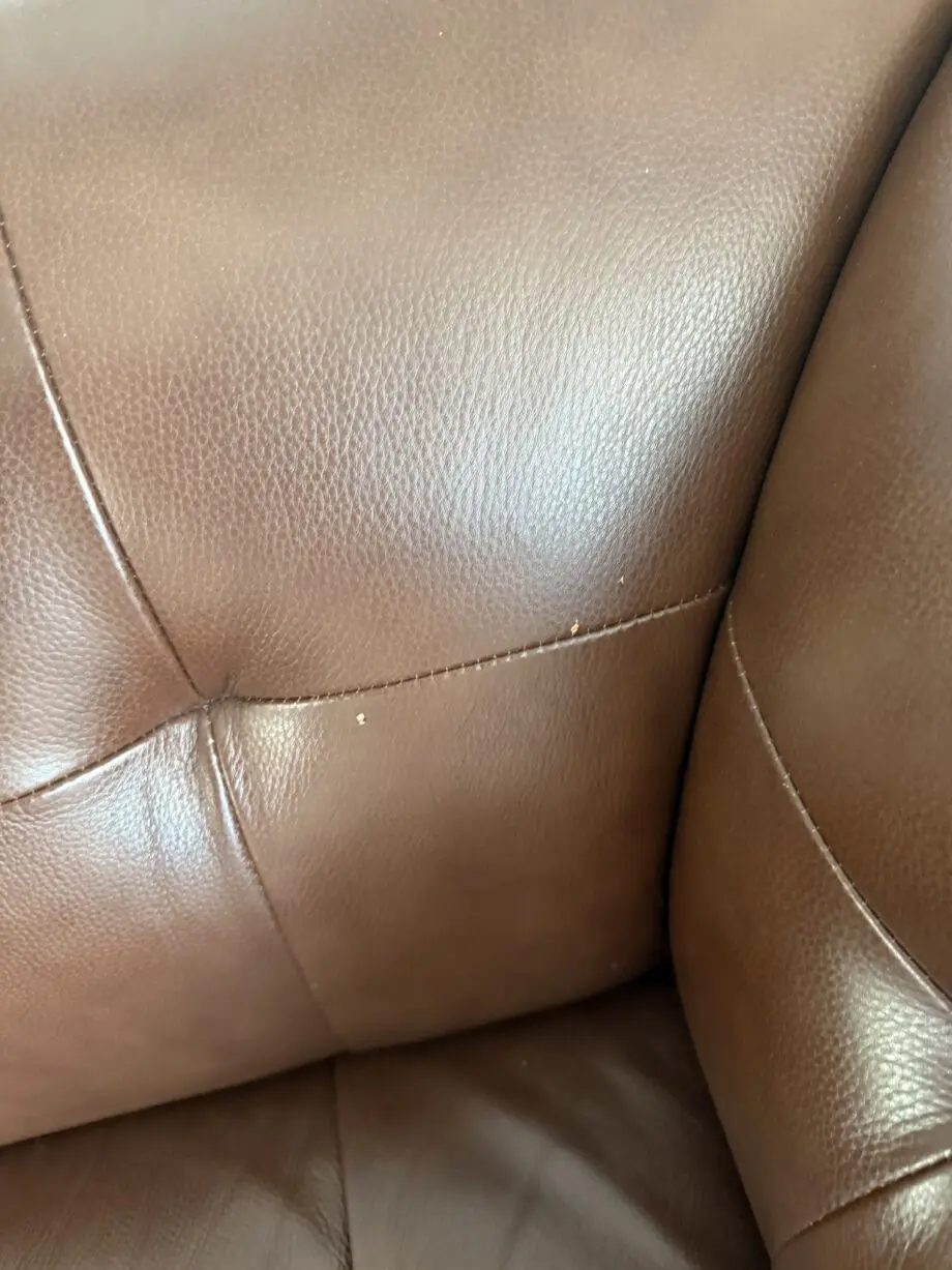 Cousins Furniture Store Linium 2 & 3 seater leather Sofas
