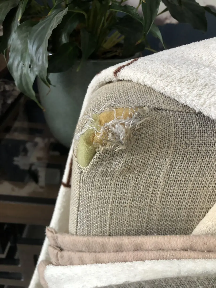 Beige 2 seater couch