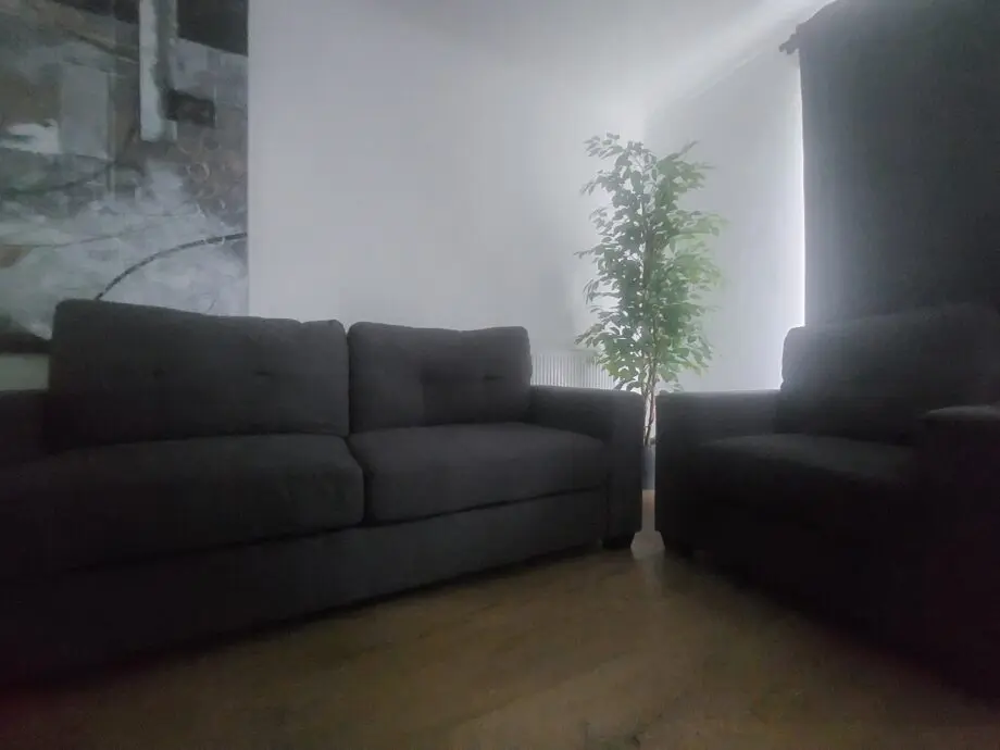 Dark Grey Large 2 Seater Couch & Single Chair