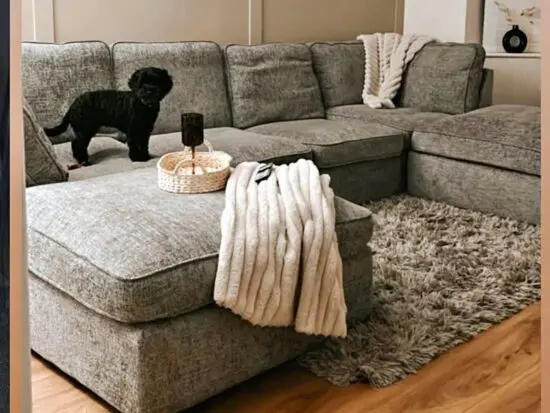 u shape corner sofa lounge