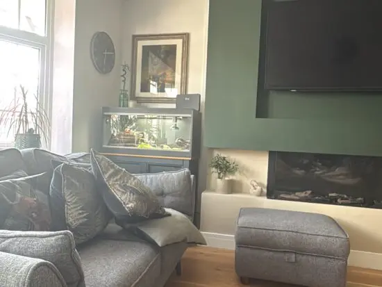 DFS French Connection sofa set
