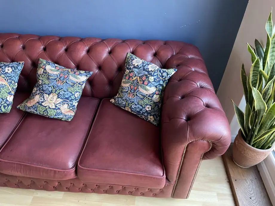 1 Saxon chesterfield aniline leather maroon sofa