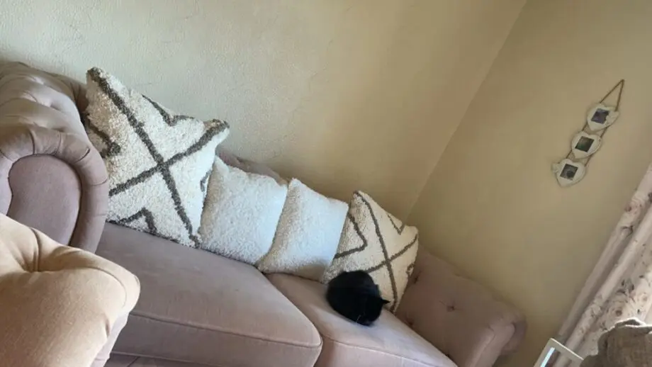 Dusty pink 3 seater sofa, cuddle chair and footstool set