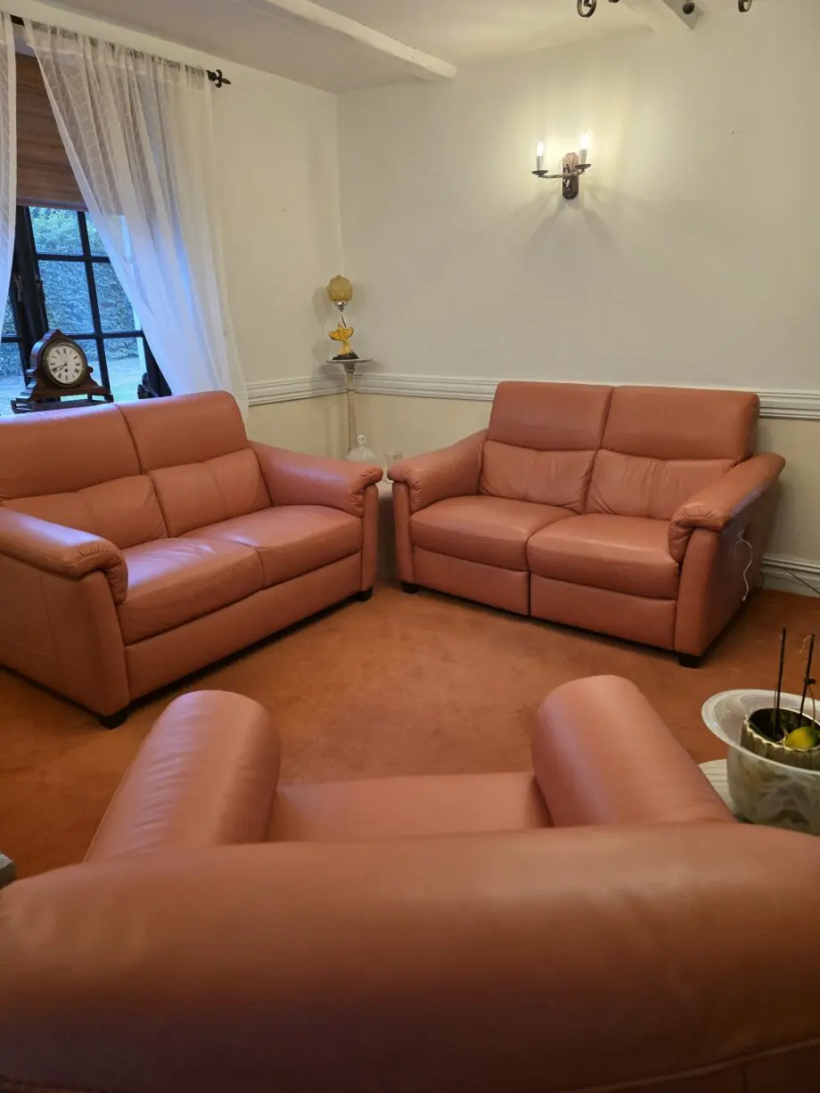 Natuzzi Coral Astuzzia Leather Sofas (2)