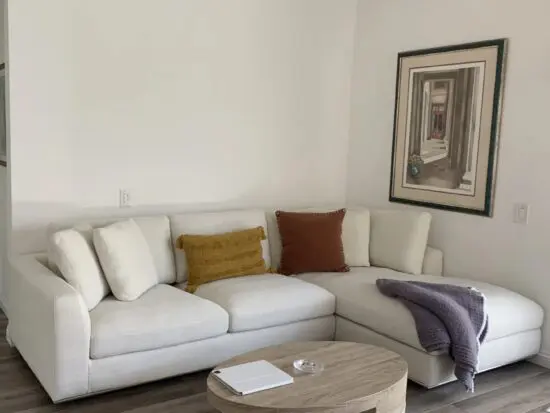 Duck L-Shape Sectional Couch