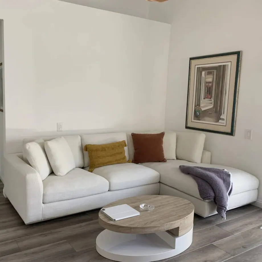 Duck L-Shape Sectional Couch