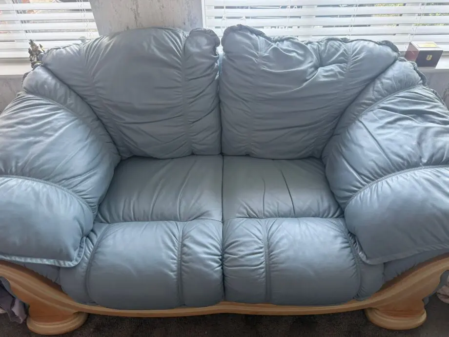 Pendragon Leather Couches