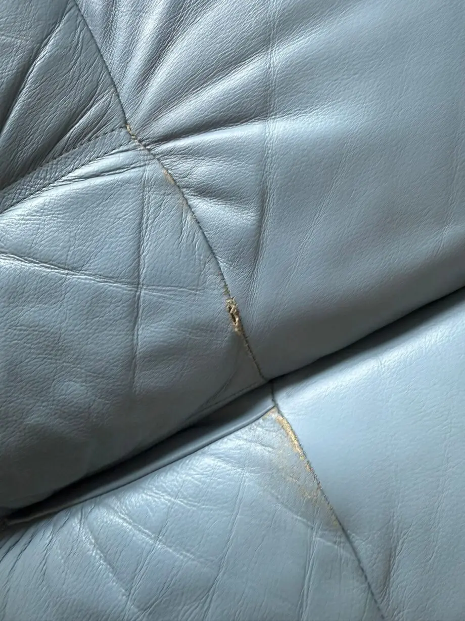 Pendragon Leather Couches