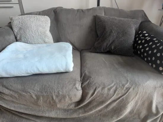 IKEA GRÖNLID 2-Seat Sofa, Medium Grey