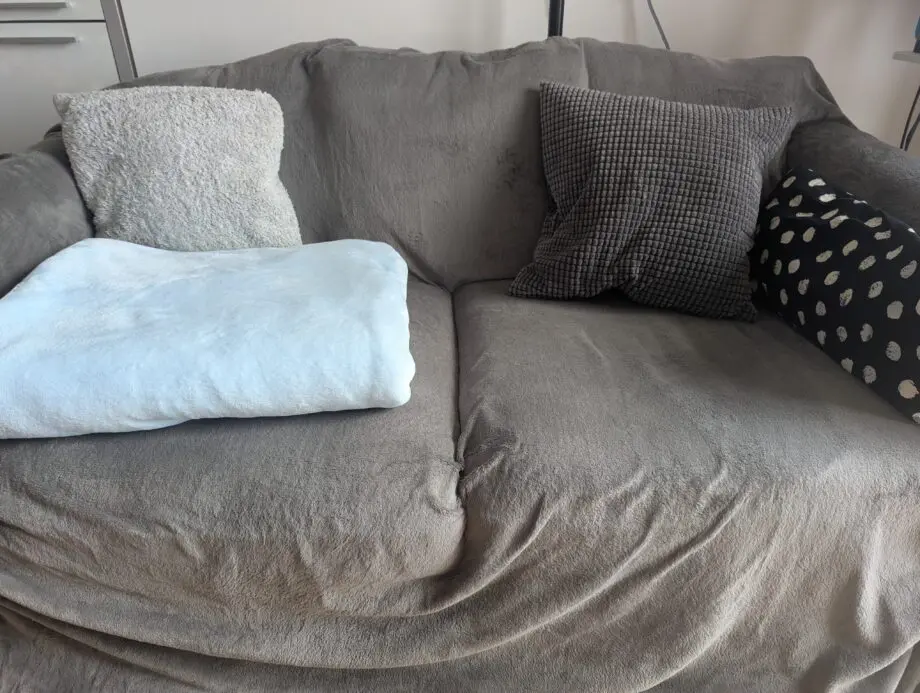 IKEA GRÖNLID 2-Seat Sofa, Medium Grey