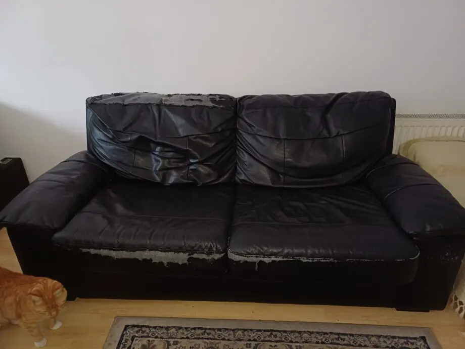 Argos