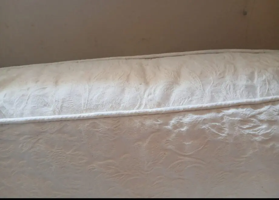 Sofa Workshop cream sofabed