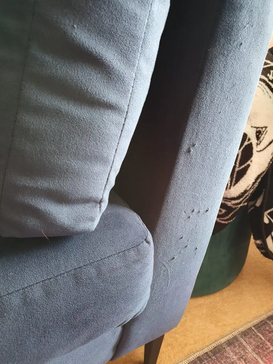 Blue sofa