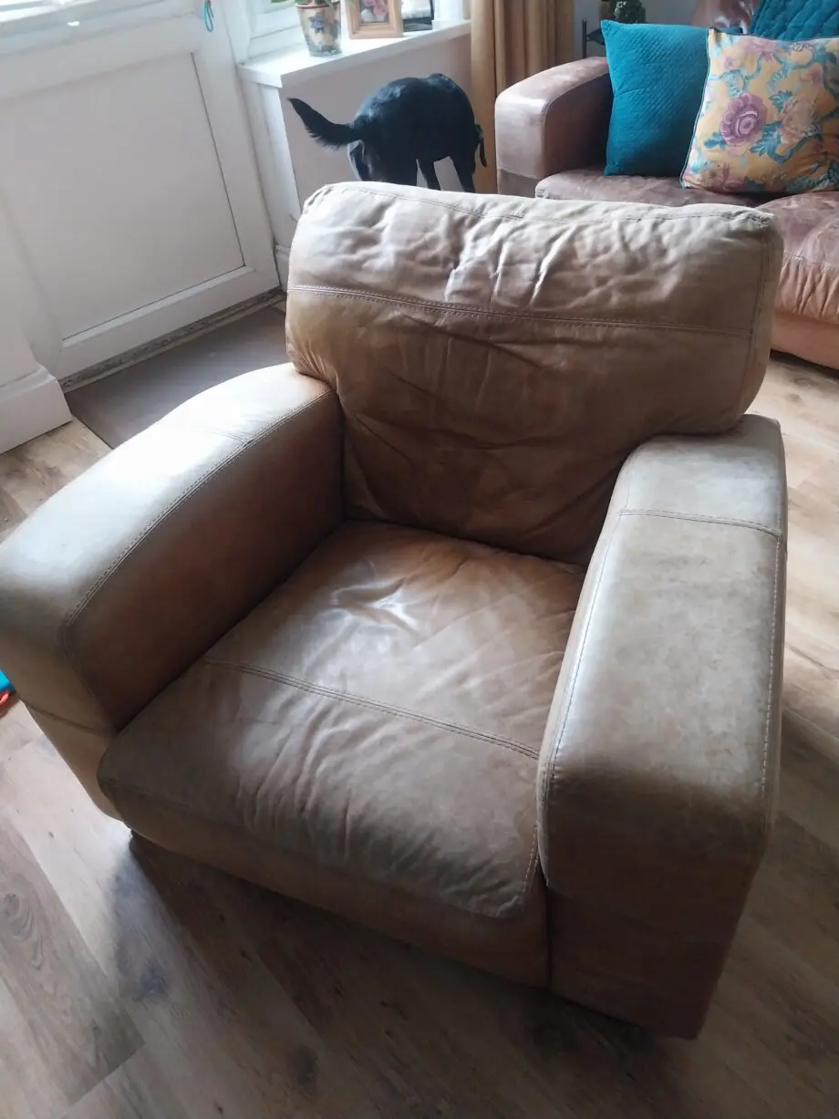 DFS Caesar tan Armchair