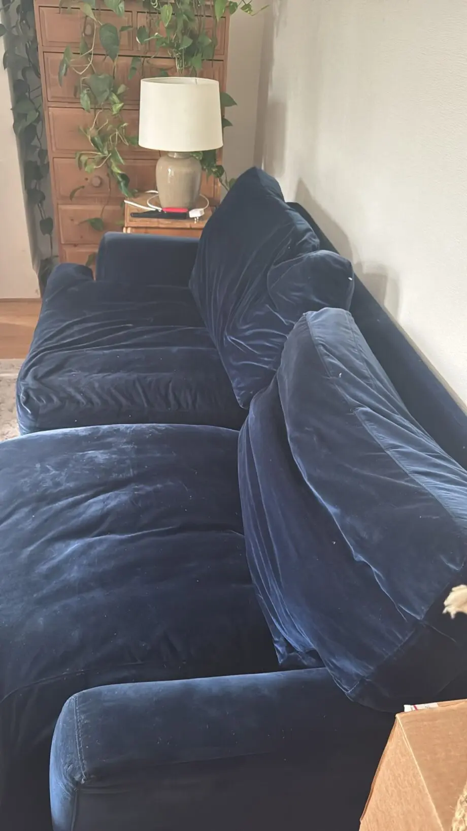Navy blue velvet sofa.com 3 seater