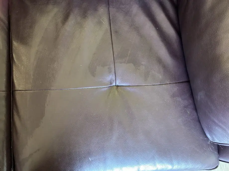 Sofology purple leather sofa