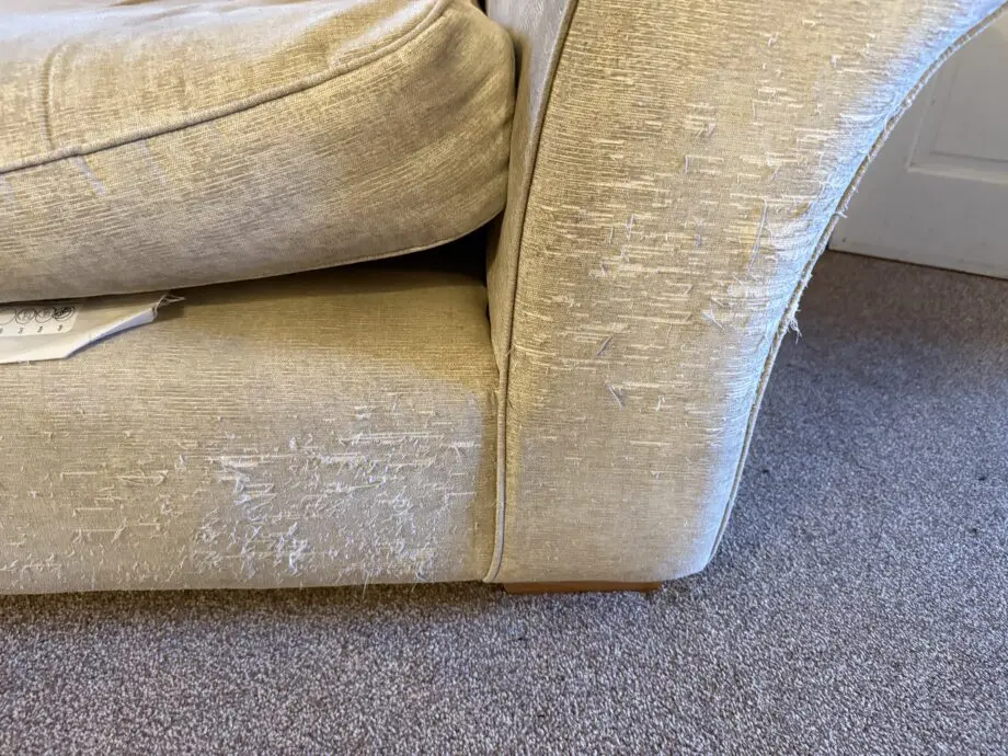 Cream Next 2 seater sofa
