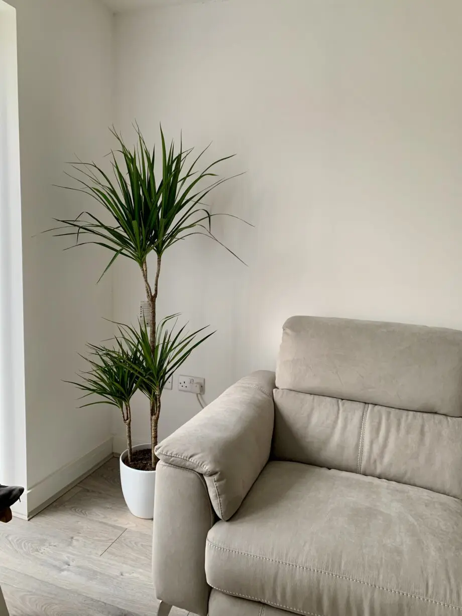 Sofology corner sofa