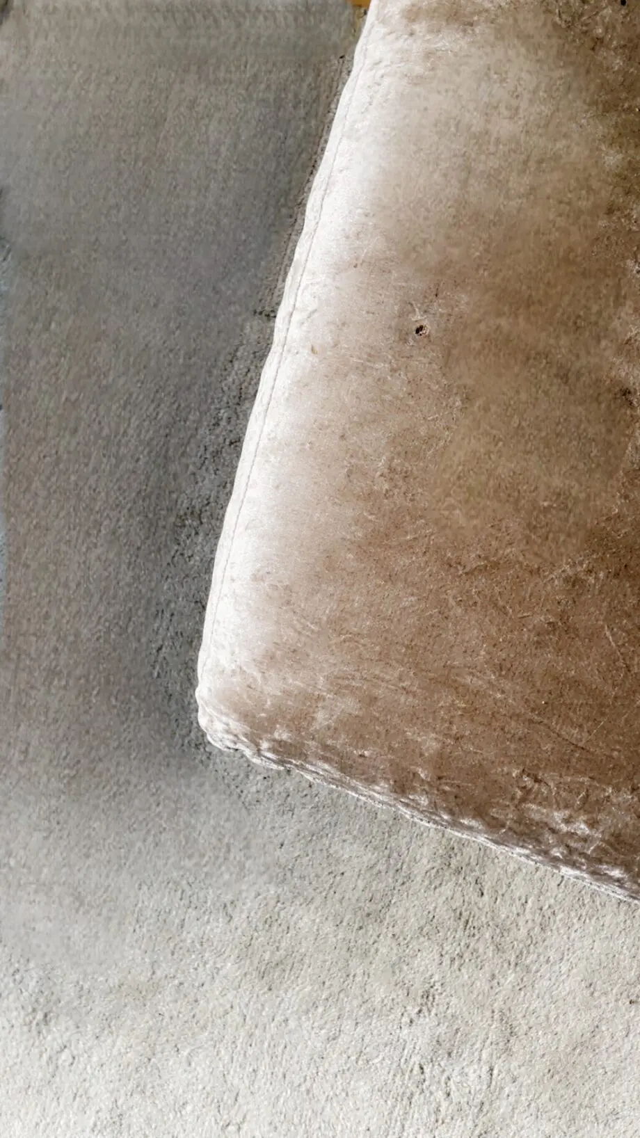 Taupe velvet
