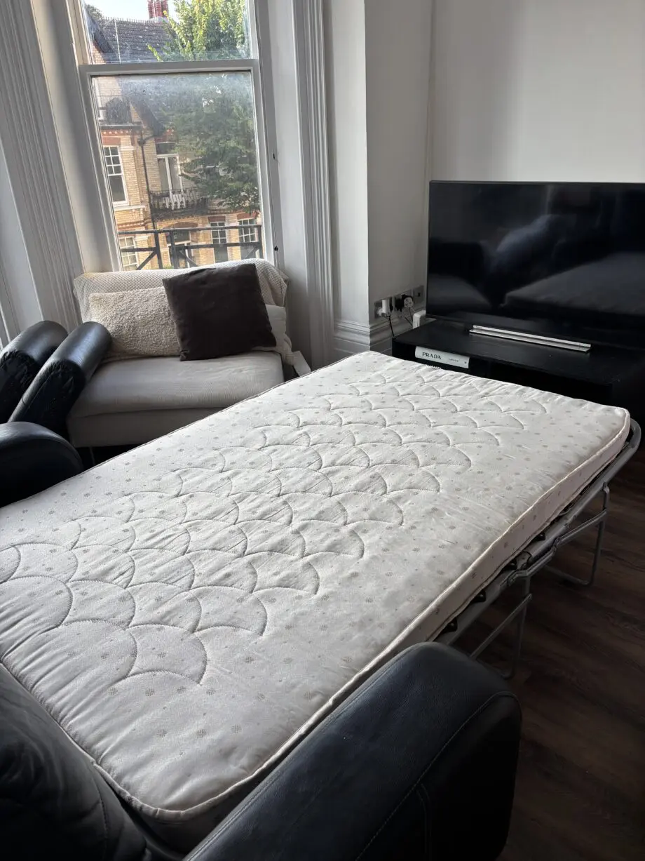 Black Leather Sofa Bed