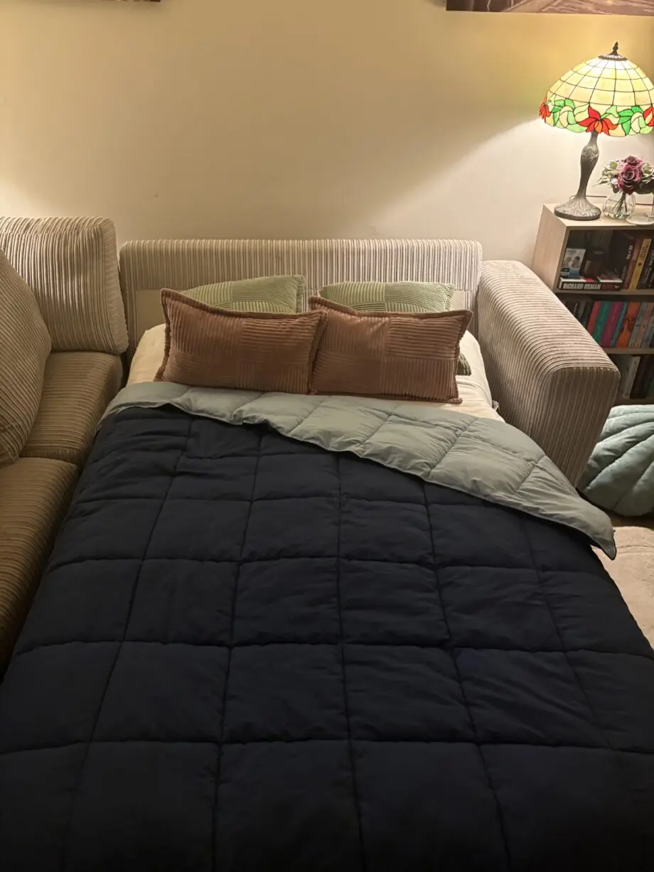 DFS Silver Large Sofa Bed